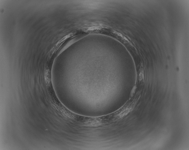 X0000078891156200611131223