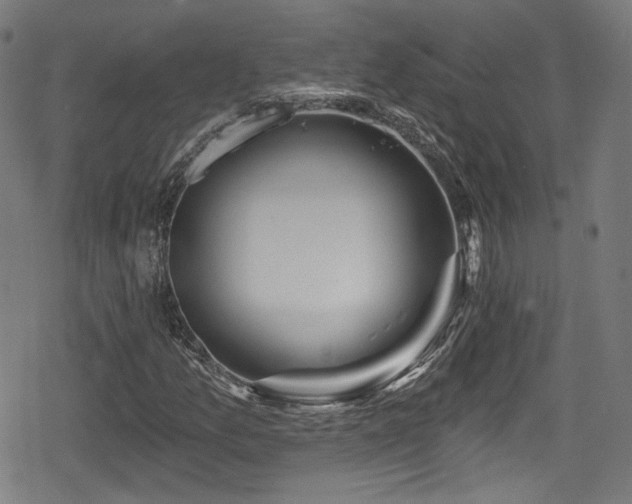 X0000078891157200611131223