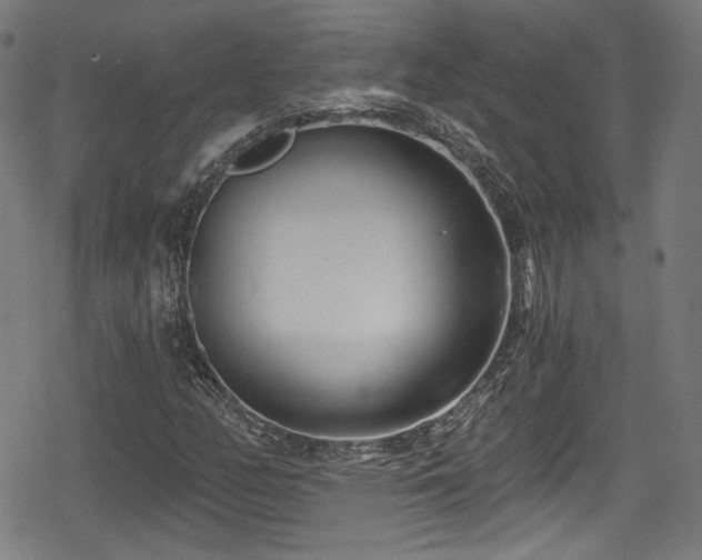 X0000078891158200611131223