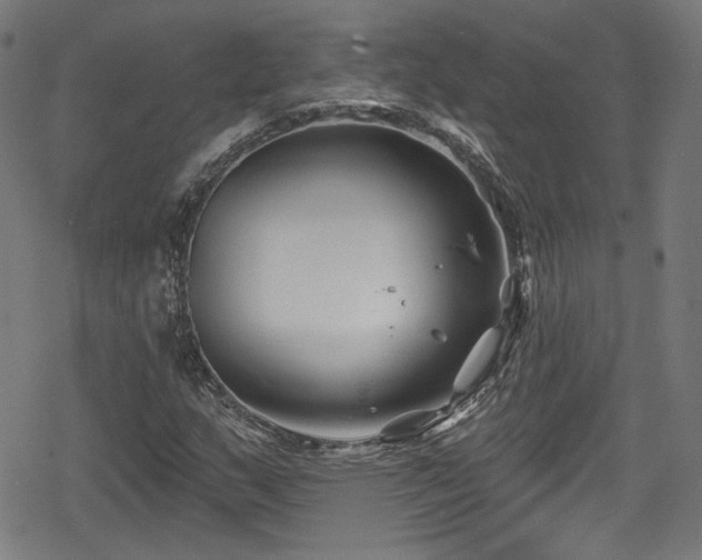 X0000078891159200611131223