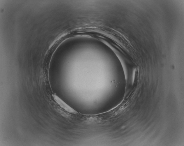 X0000078891160200611131223