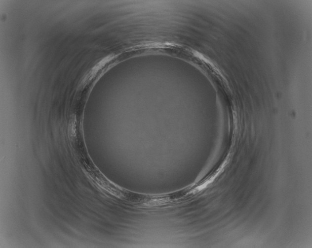 X0000078891161200611131222