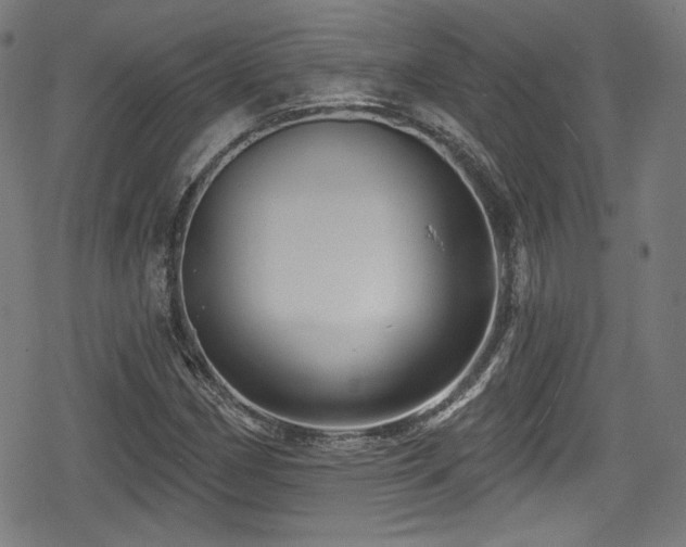 X0000078891162200611131222