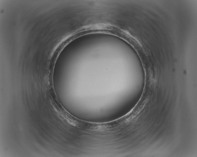 X0000078891166200611131222