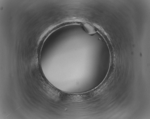 X0000078891167200611131222