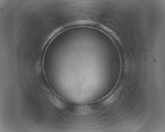 X0000078891170200611131222