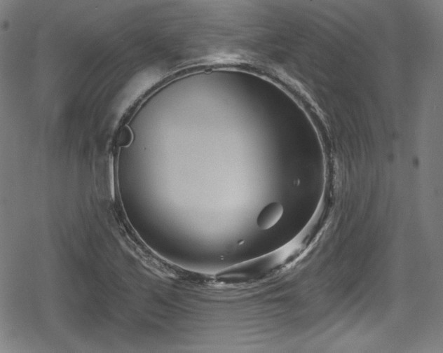 X0000078891171200611131222