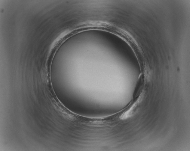 X0000078891172200611131222