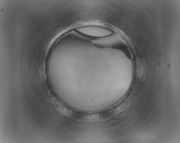 X0000078891174200611131222