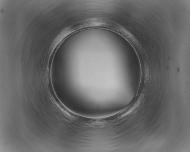 X0000078891178200611131222