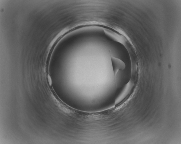 X0000078891181200611131222