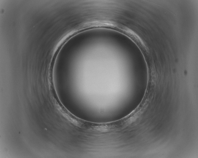 X0000078891182200611131222