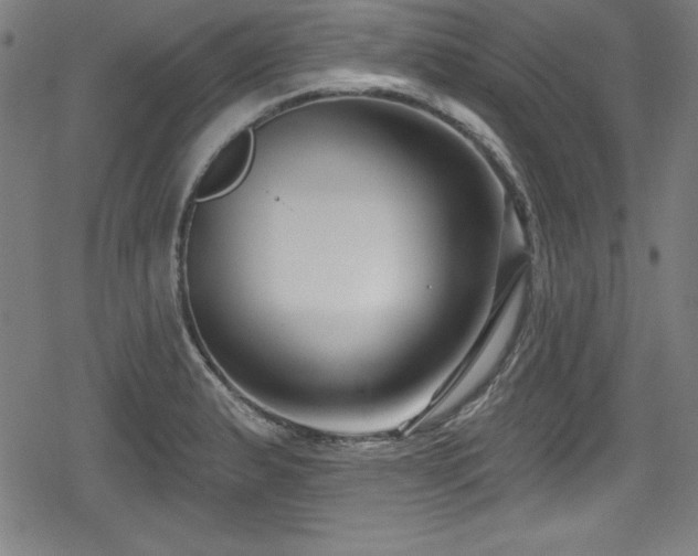 X0000078891183200611131222