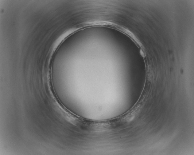 X0000078891187200611131222