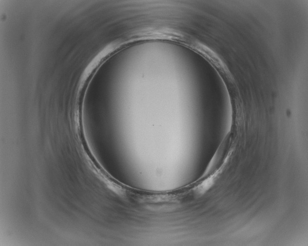 X0000078891188200611131222