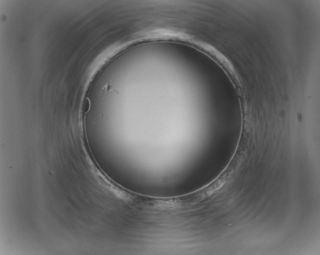 X0000078891191200611131222