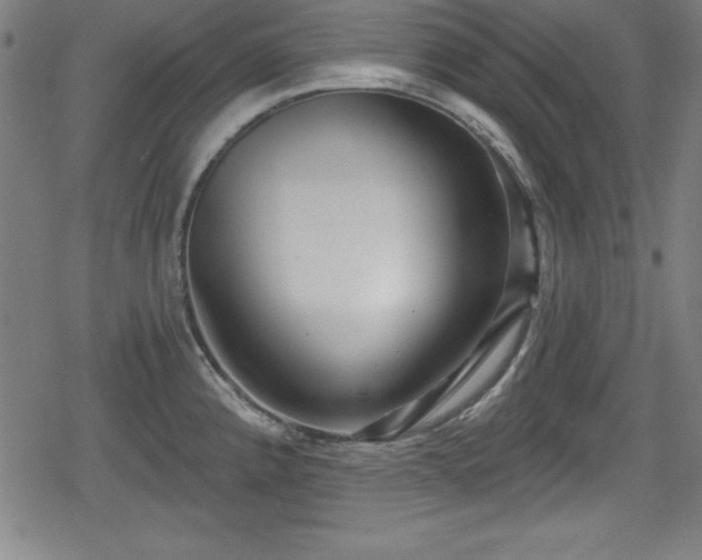 X0000078891192200611131222