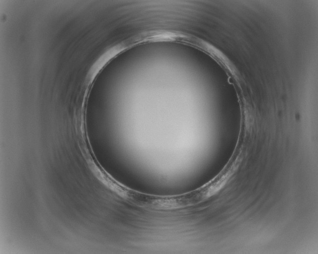 X0000078891194200611131222