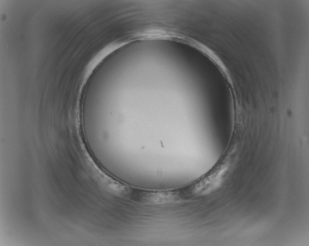 X0000078891195200611131222