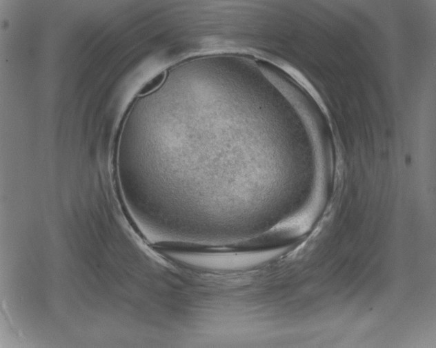 X0000078891197200611131222