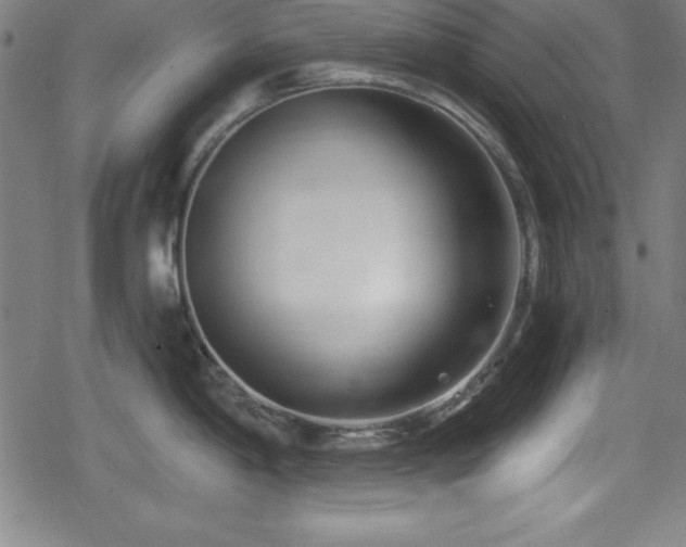 X0000078891198200611131222