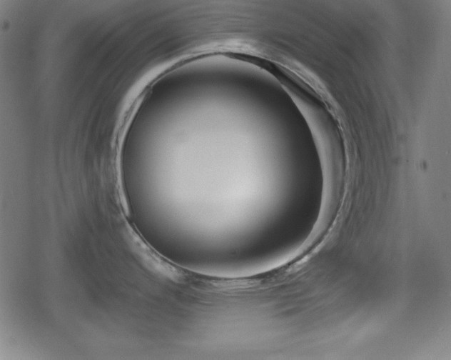 X0000078891200200611131222