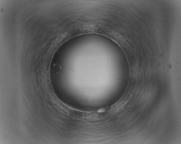 X0000078891201200611131221