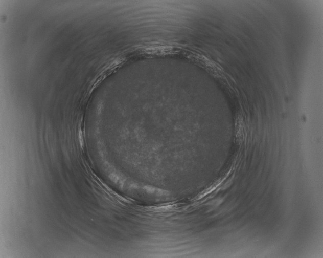 X0000078891202200611131221