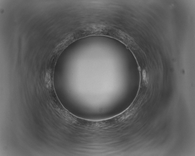 X0000078891203200611131221