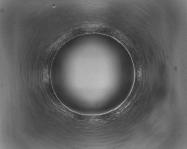 X0000078891204200611131221