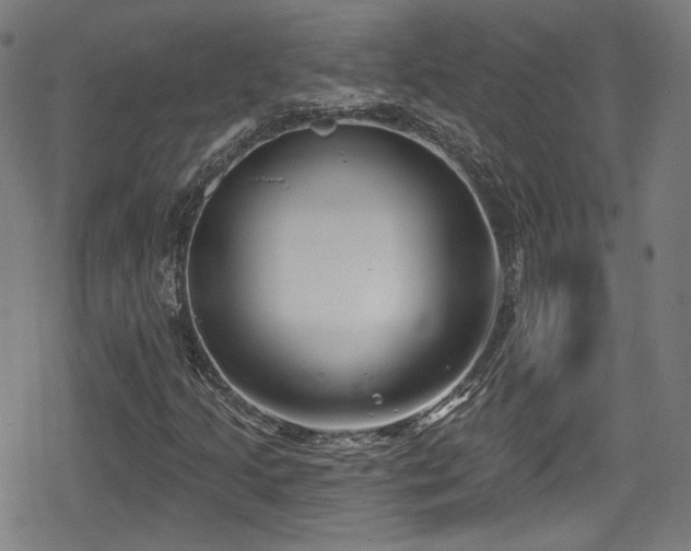 X0000078891205200611131221