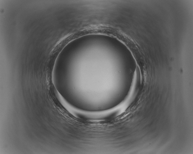 X0000078891206200611131221