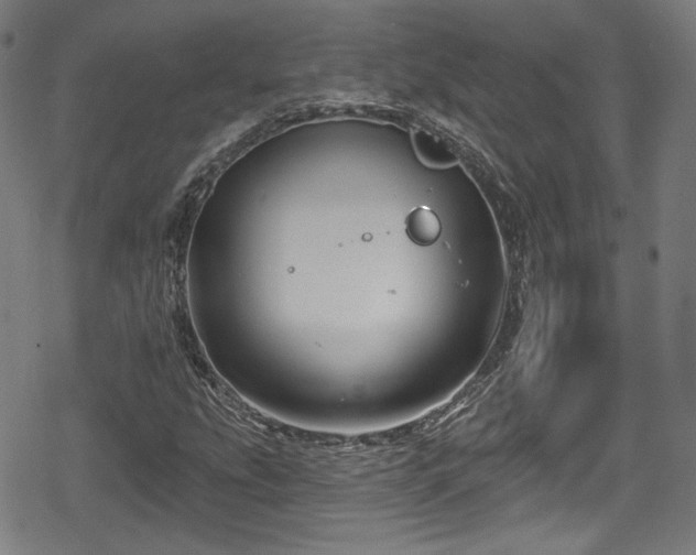 X0000078891207200611131221