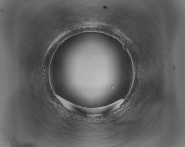 X0000078891208200611131221