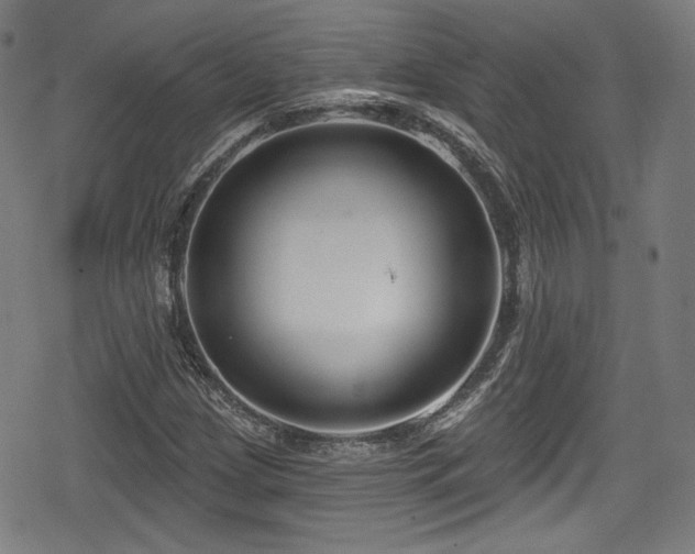 X0000078891209200611131221