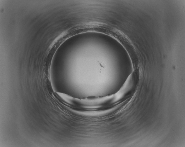 X0000078891210200611131221