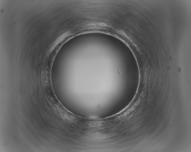 X0000078891211200611131221