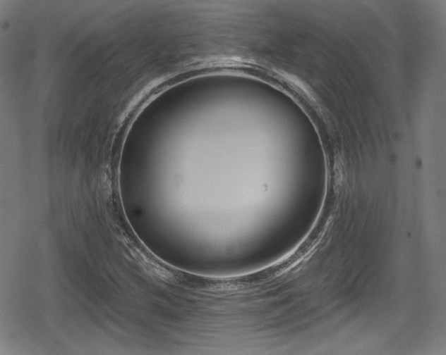 X0000078891212200611131221