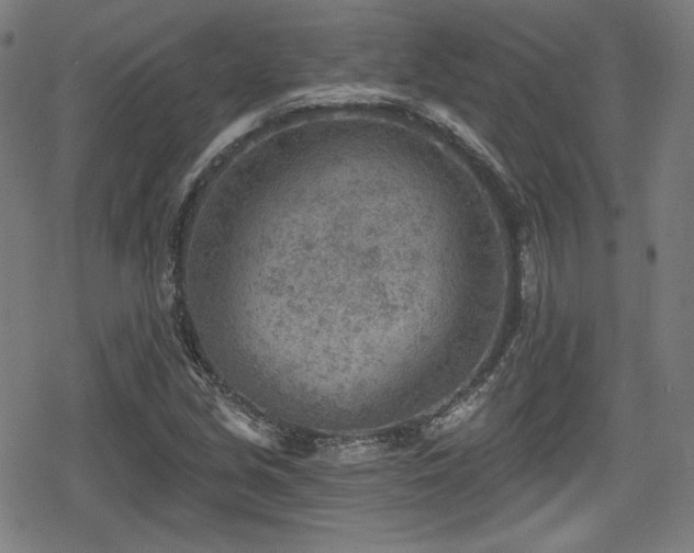 X0000078891213200611131221