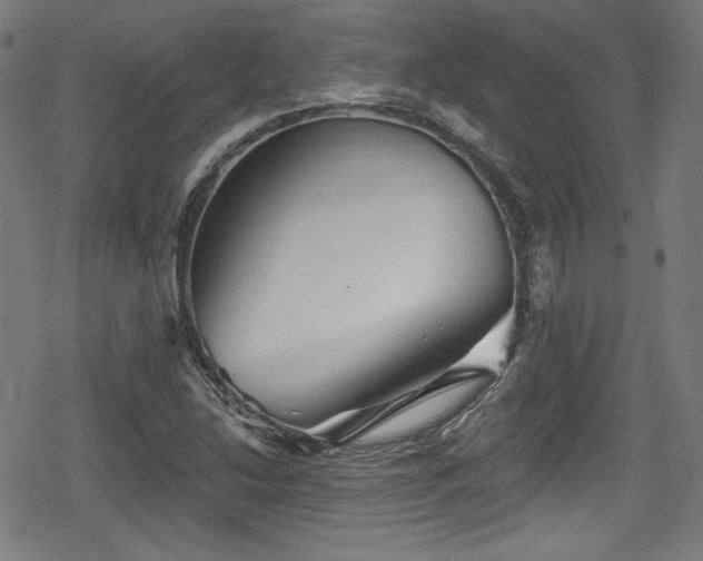 X0000078891214200611131221