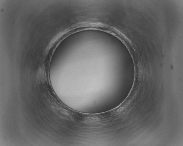 X0000078891215200611131221