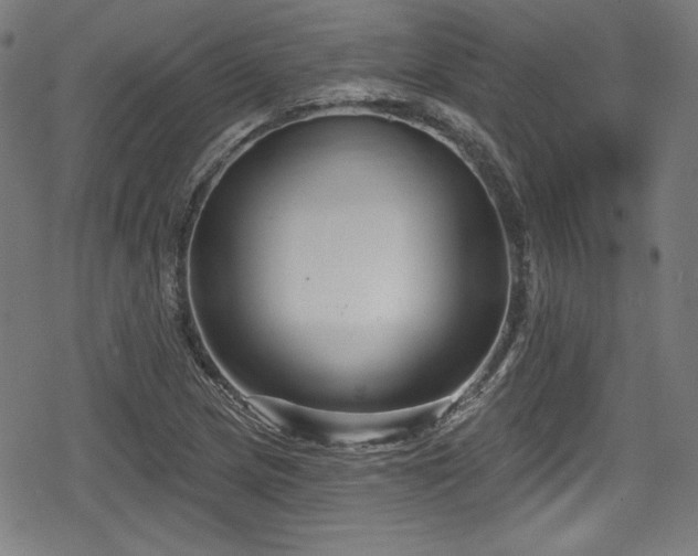 X0000078891217200611131221