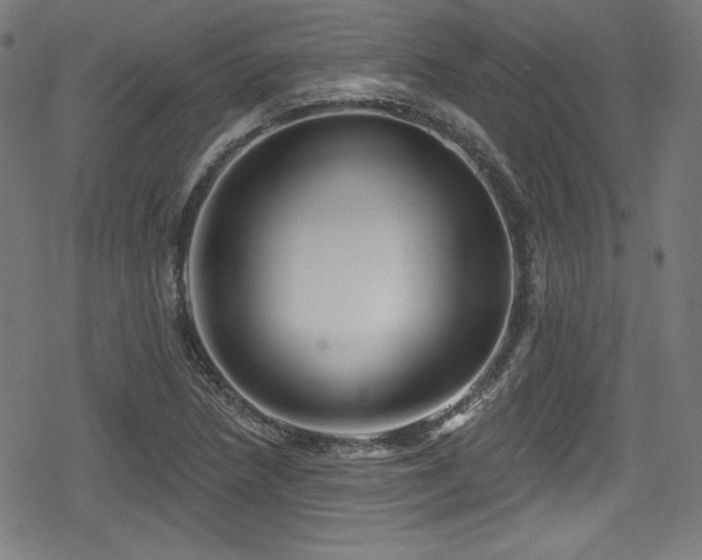 X0000078891218200611131221