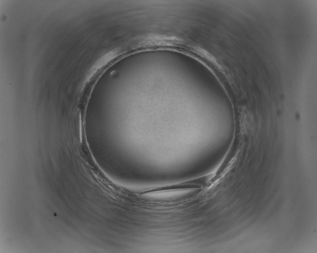 X0000078891219200611131221