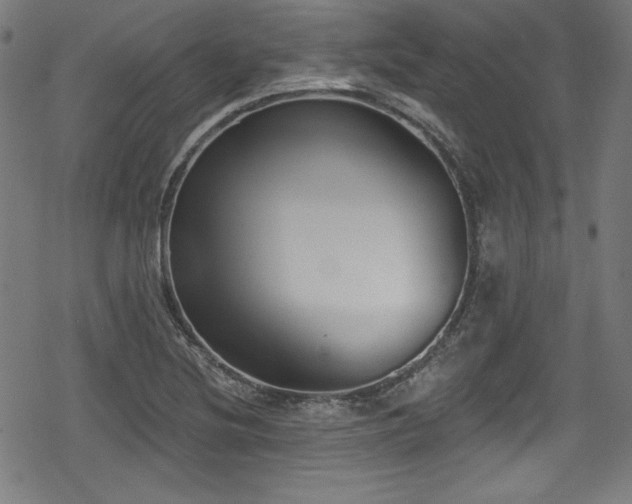 X0000078891220200611131221