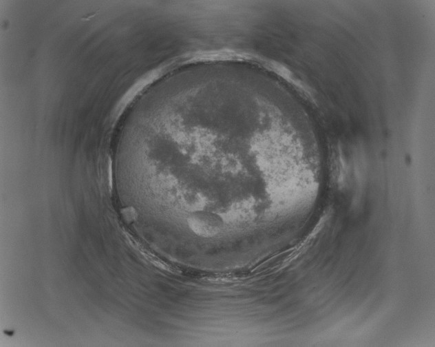 X0000078891221200611131221