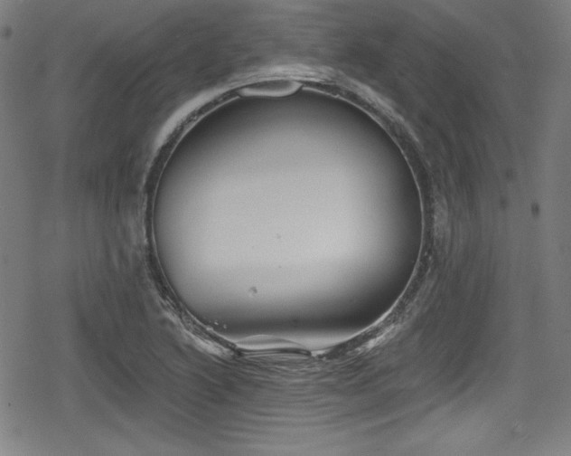 X0000078891222200611131221