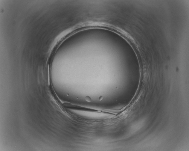 X0000078891223200611131221