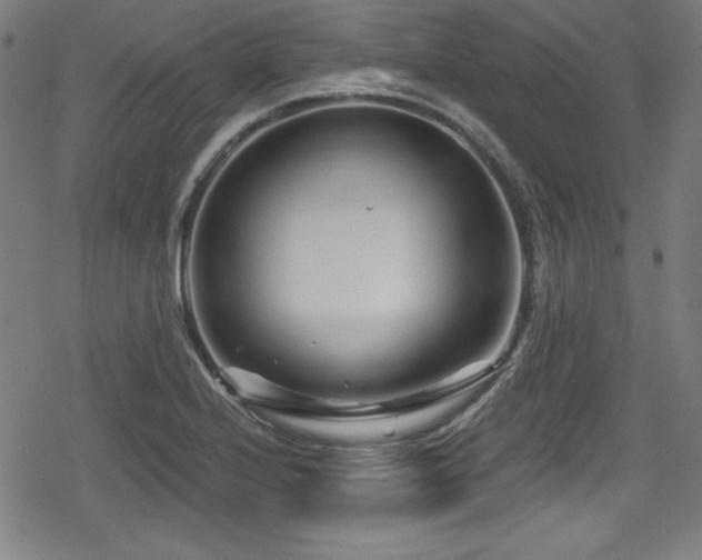 X0000078891224200611131221