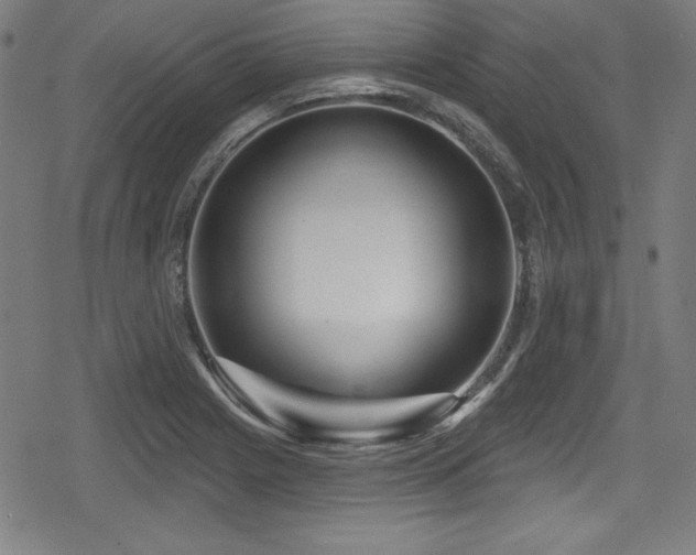 X0000078891225200611131221